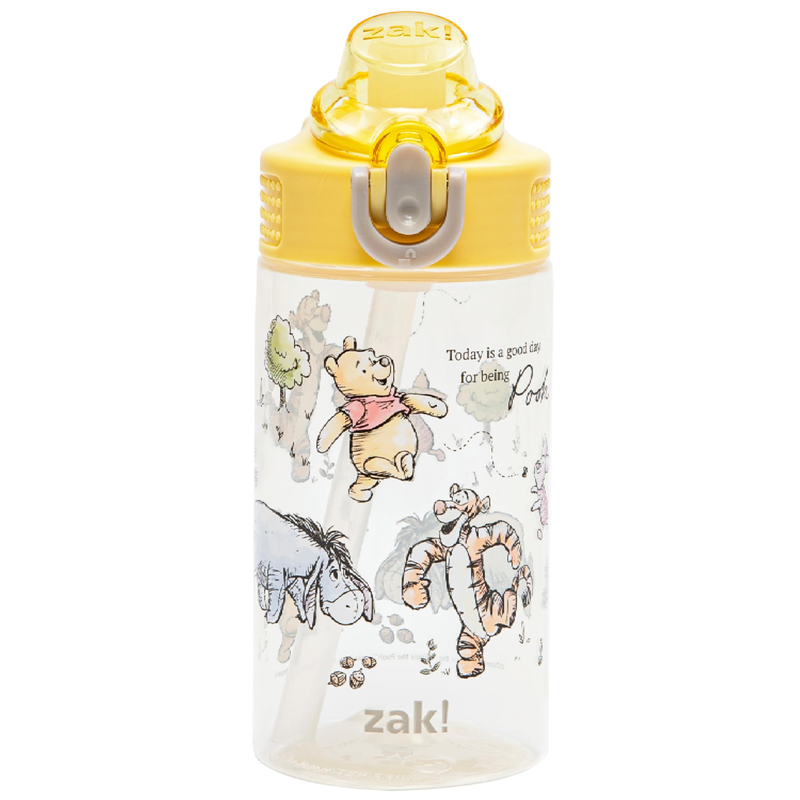 Zak Designs Minecraft Sage Water Bottle For School or Travel, 25oz Durable Plastic Water Bottle With Straw, Handle, and Leak-Proof, Pop-Up Spout Cover (Creeper)